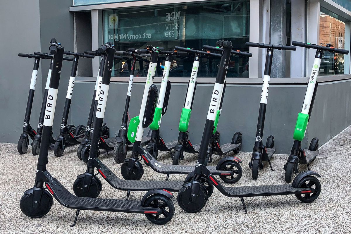 electric scooter rentals bird lime