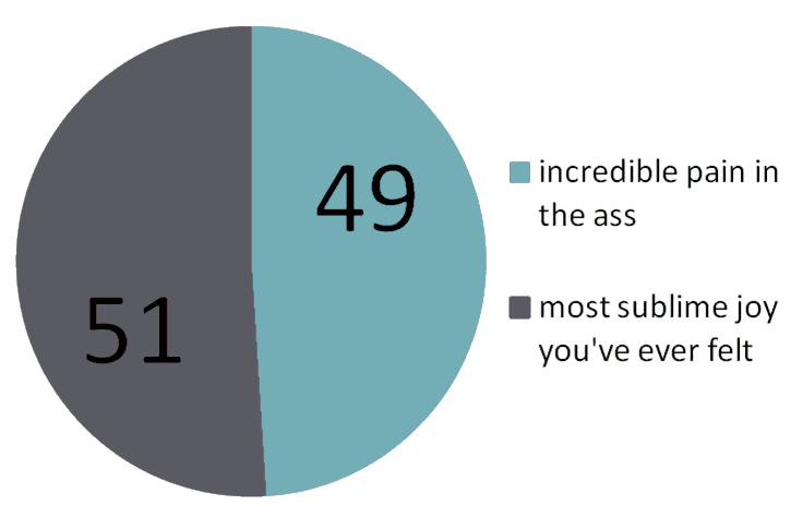 pie chart: 51% "most sublime joy you've ever felt", 49% "incredible pain in the ass"