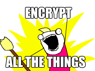 Should All Web Traffic Be Encrypted?