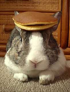 The Dancing Bunnies Problem