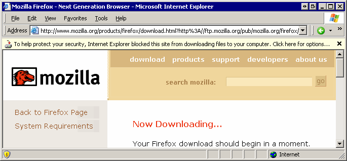 IE screenshot