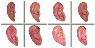 3d Hearing Test