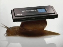 Apples's snail Pentium ad