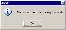 the human head weighs eight pounds