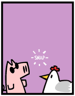 Pig vs. Chicken