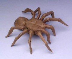 Origami spider