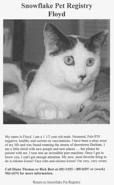 cat-floyd-adoption-page.png