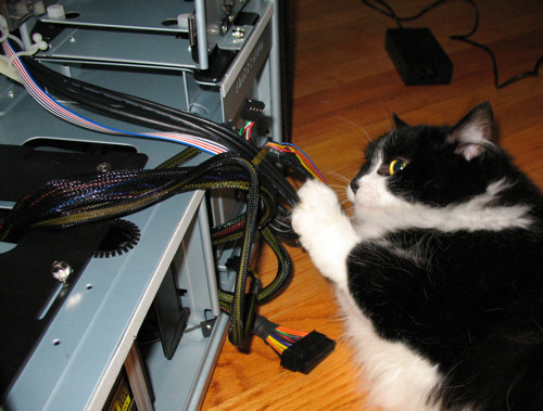 PC build, my cat helper