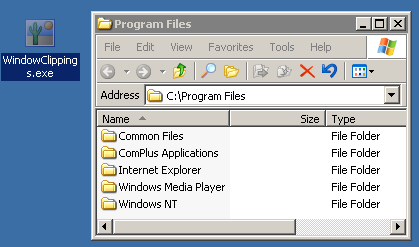 Manual program installation screenshot