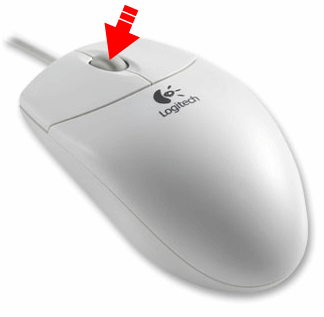 pressing the middle mouse button