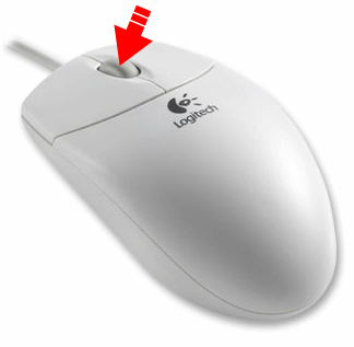 the middle mouse button