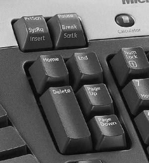 keyboard with mangled page-up and page-down key cluster