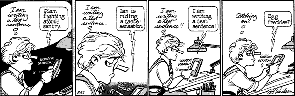 Doonesbury-newton