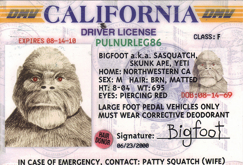 Bigfoot-drivers-license