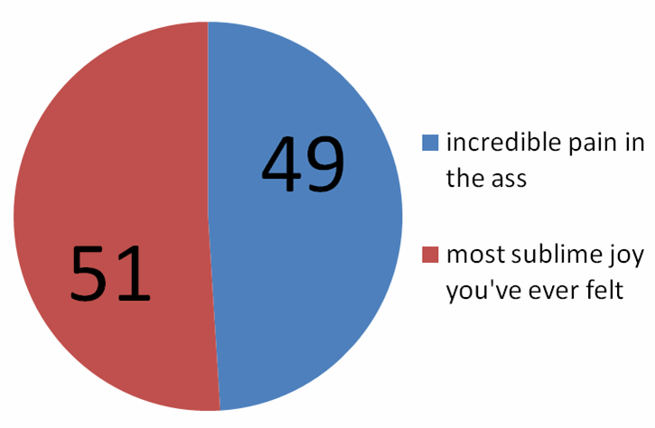 Kids Zone Pie Chart