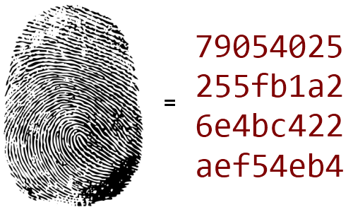 Fingerprint-as-hash