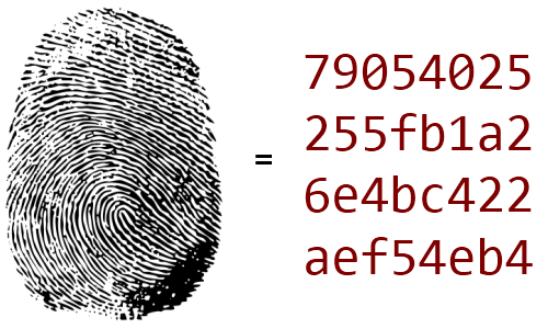 r9 295x2 wpa2 hash crack words per sec